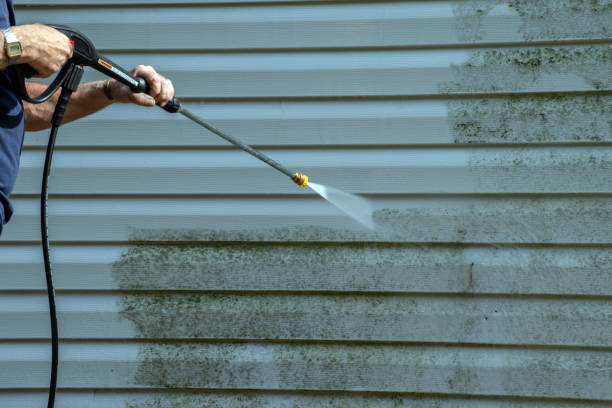 Pre-Holiday Cleaning in Mercer Island, WA